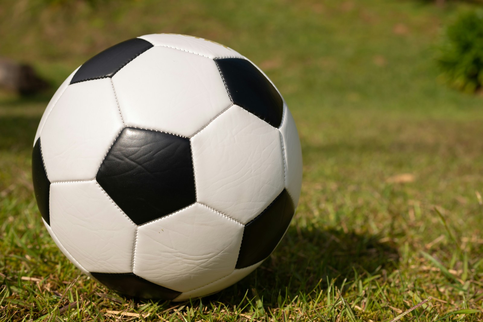 米乐足球 · 体育栏目服务配图(示意)